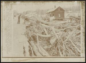 Earthen Dam Breaks-- A workman moves a tree limb what was jutting out over part of a washed out highway in Lee, Mass., after an earthen dam broke sending a flash flood through the town. The rushing water killed one person and damaged several homes Sunday.