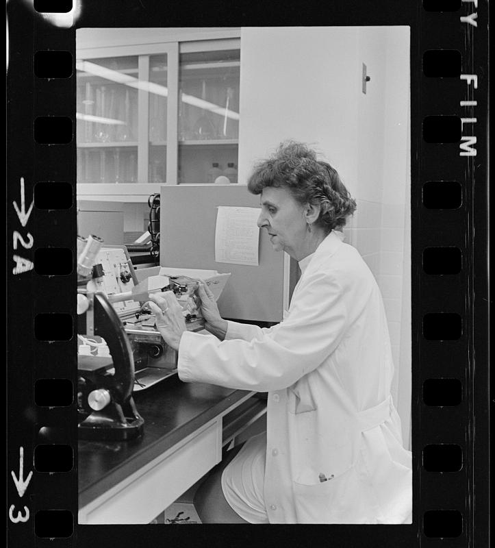 Anna Jaques Hospital brochure Digital Commonwealth