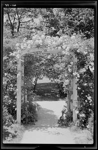 Roses frame the garden gate, Wayside Inn, Sudbury