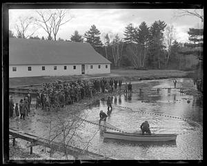 Salmon hatching, Raymond, Maine