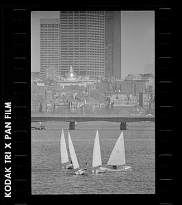 Sailboats on Charles River Basin, Beacon Hill in background, downtown Boston