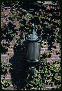 Lamp on ivy-covered brick wall