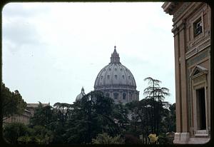 Dome of St. Peter's Basilica, Vatican City, seen over trees