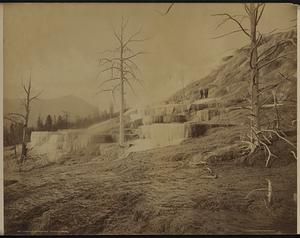 Mammoth Hot Springs, Pulpit Terraces