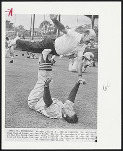 Musial Balances the Professor Stan Musial helps professor Walter Eberhardt demonstrate a new exercise at the St. Louis Cardinals camp. Eberhardt is director of physical education at St. Louis University and conducts the Cards calisthenics program.