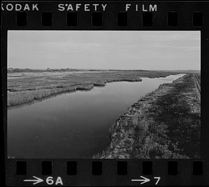 Plum Island refuge, beach, and dunes