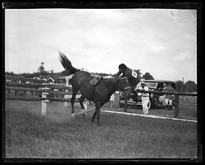 A rider getting thrown from a horse