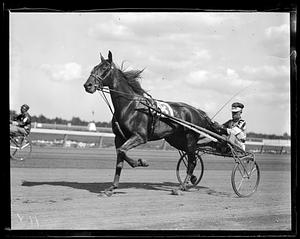 Harness racing