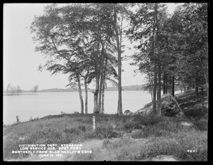 Distribution Department, Low Service Spot Pond Reservoir, looking northeasterly along the shore, from near Hadley Cove, Stoneham, Mass., Jun. 19, 1901