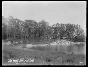 Distribution Department, Low Service Spot Pond Reservoir, east shore of cove at Dam No. 9, Stoneham, Mass., Jun. 19, 1901