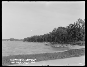 Distribution Department, Low Service Spot Pond Reservoir, west shore of Basket Cove, from Dam No. 8, Stoneham, Mass., Jun. 19, 1901