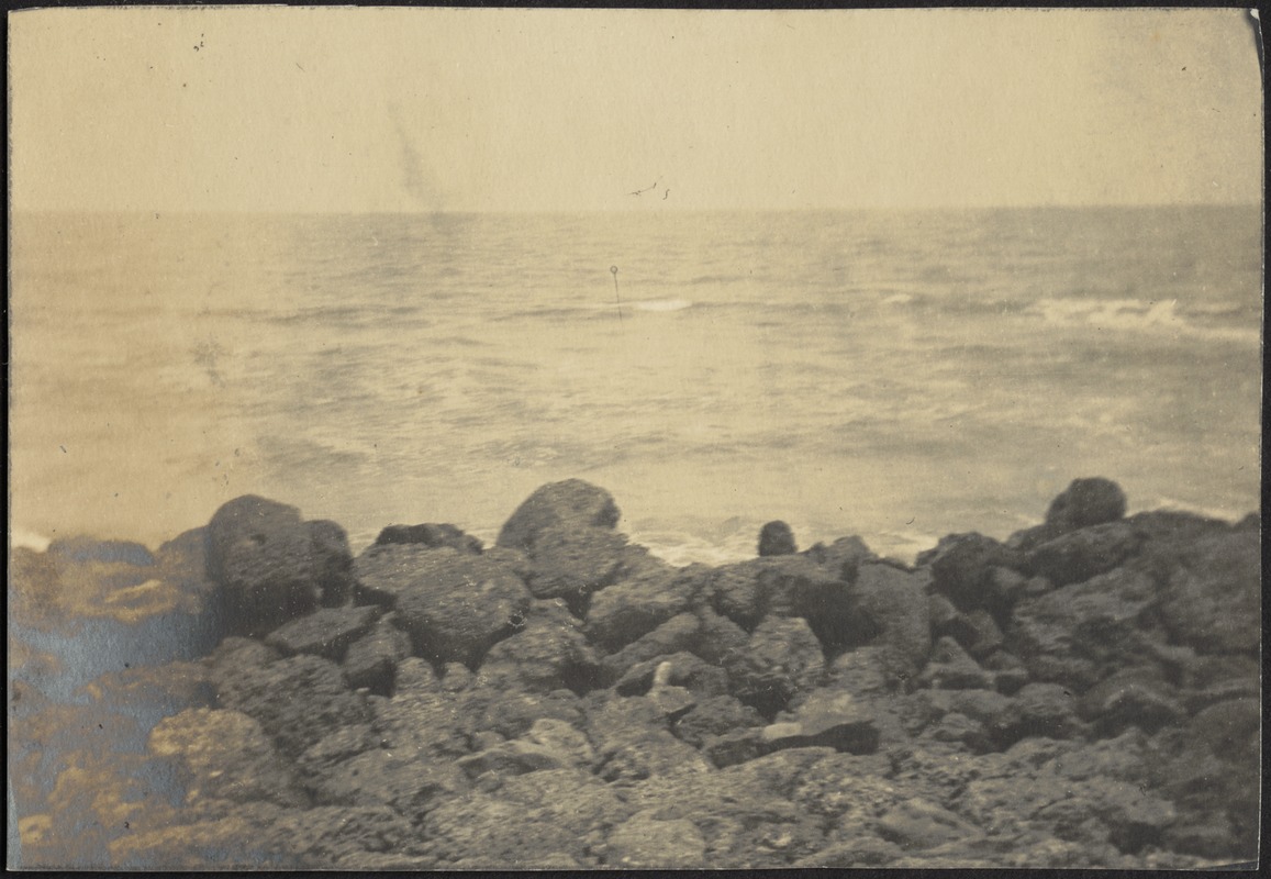 Beach with rocks