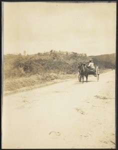 Man and woman in donkey drawn cart