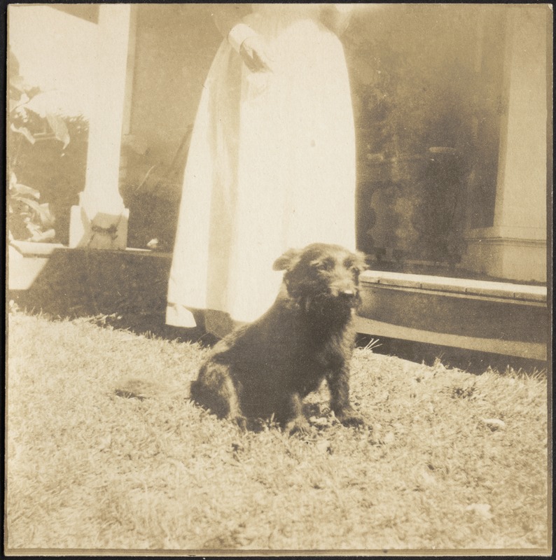 Dog at feet of woman in white dress standing in front of porch