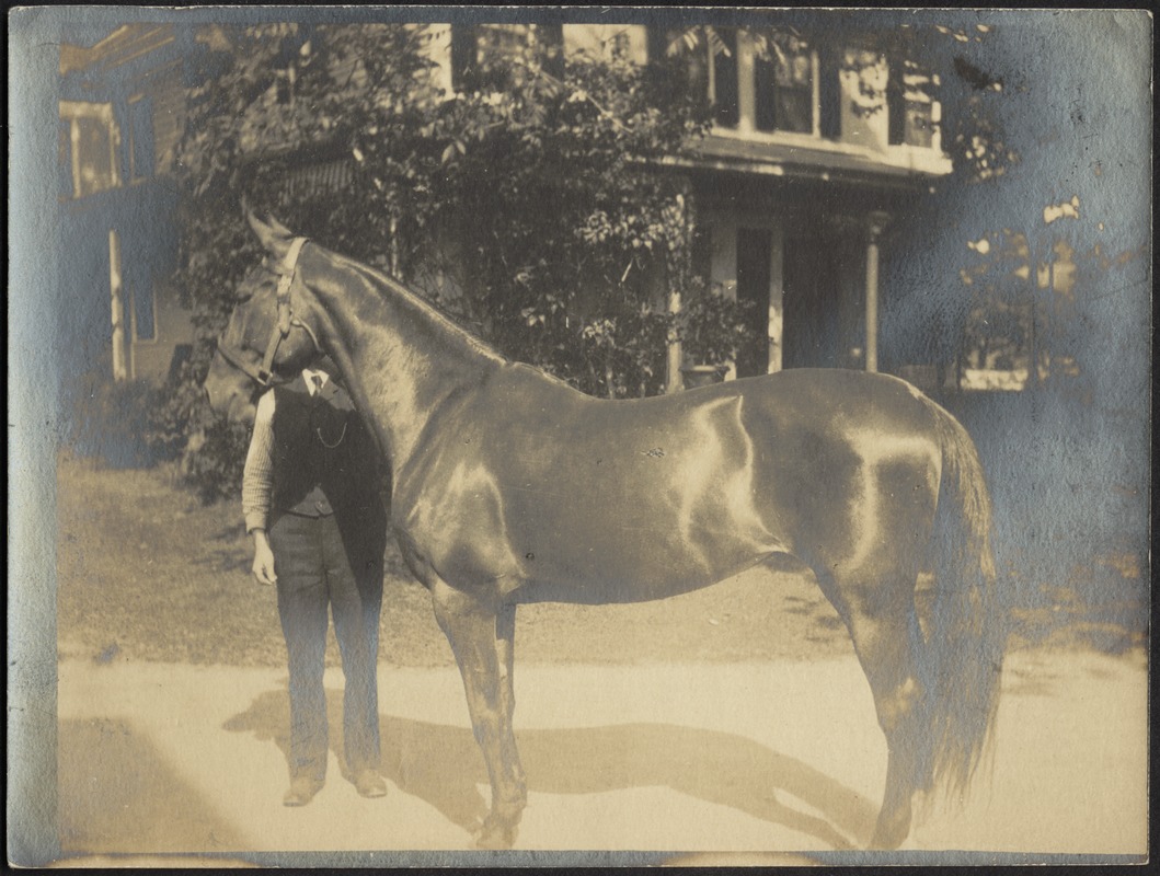 Ashdale Farm. Unidentified man with horse and buggy in front of house