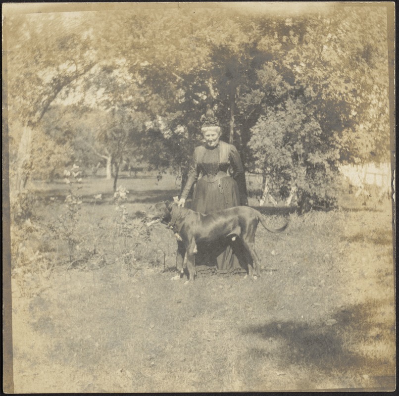 Harriet M. Cornwall Granger (Mrs. George Granger) standing w/dog in orchard at Ashdale Farm