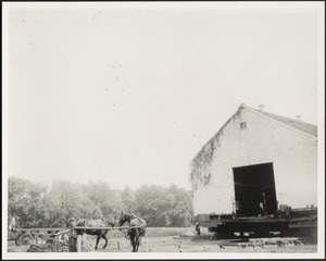 Ashdale Farm. Moving of barn, work horses on left.