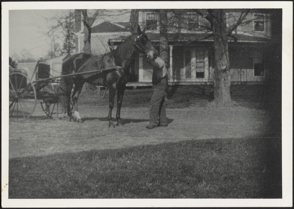 Ashdale Farm. Unidentified man with horse and buggy in front of house
