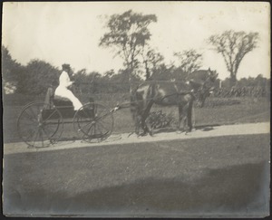 Ashdale Farm. Woman in buggy pulled by two horses, possibly Gertrude S. Kunhardt.