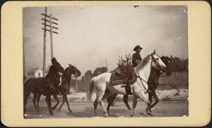 "Officers' horses, Tampa"