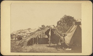 Camp with hut and tents