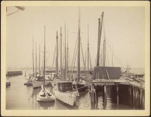 View of boats in harbor: Aquila, Wanderer, Mayflower
