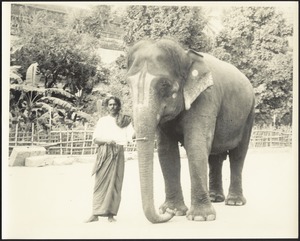 Man standing with elephant