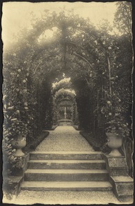 Photo postcard of rose garden