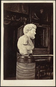 Marble bust (possibly of Hadrian) in Villa Albese