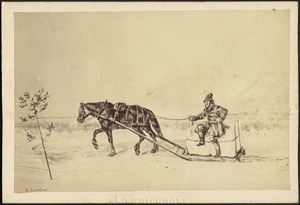 Horse pulling sled with man sitting on blocks of ice