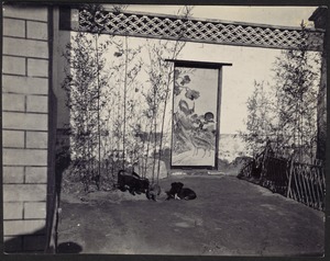 House in Peking, China — Bedroom yard, north side with entrance to stable yard