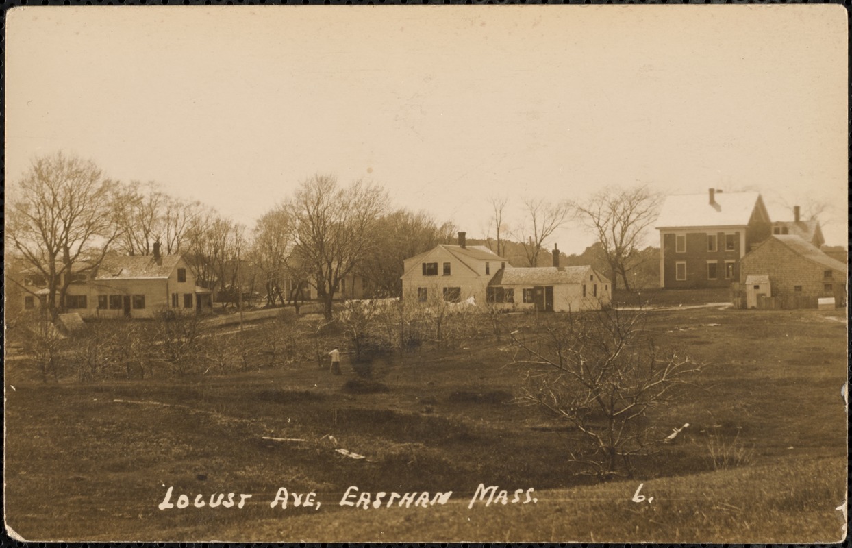Locust Ave, Eastham Mass Digital Commonwealth