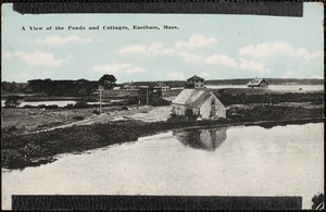 A view of the ponds and cottages, Eastham, Mass.