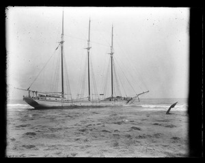 Wreck of Parrsboro vessel at Nauset