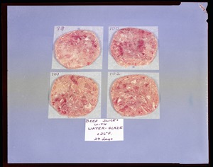 Food lab, beef slices with water glaze, +26˚ F, 29 days