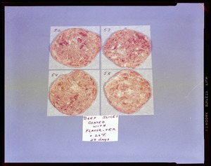 Food lab, beef slices coated with flavor-tex, +26 F, 29 days