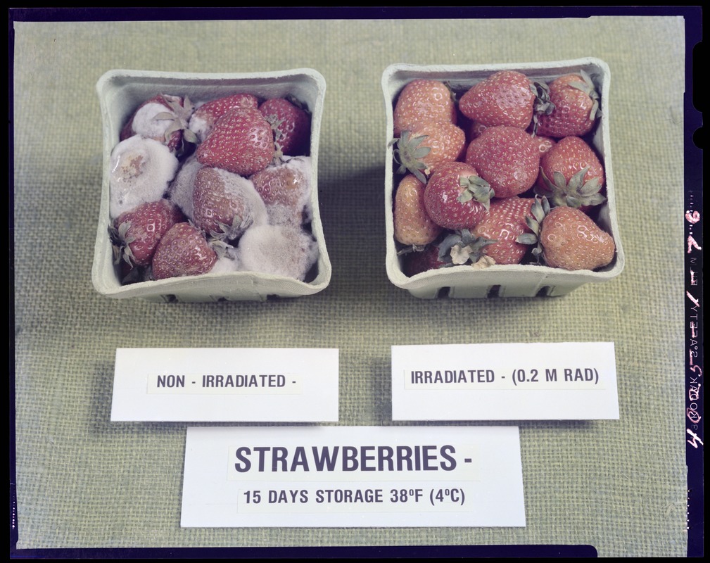 Strawberries, non-irradiated and irradiated
