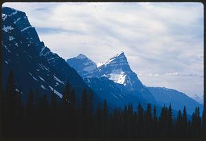 Trees in front of mountain peaks, British Columbia