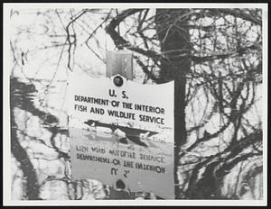 Flooded U. S. Department of the Interior Fish and Wildlife Service sign