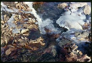 Melting ice and dead leaves by running water