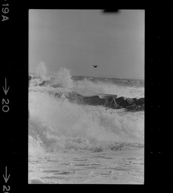 Plum Island beach and surf