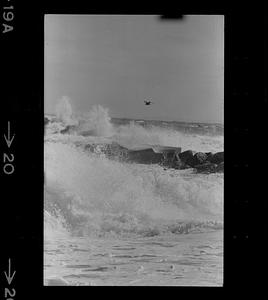 Plum Island beach and surf