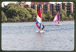 Boston 1981: Sailboarders navigate the Charles River
