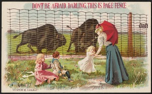 Don't be afraid darling. This is Page fence.