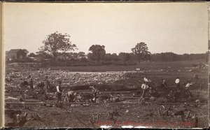 Sudbury Department, Sudbury Reservoir, stripping, Section A, Southborough, Mass., 1894
