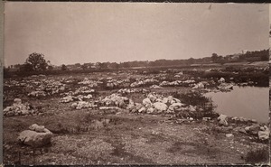 Sudbury Department, Sudbury Reservoir, Section A, looking upstream towards Burnett's place, Southborough, Mass., Aug. 3, 1896