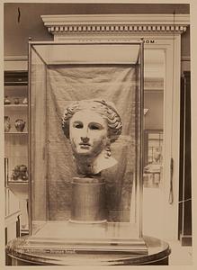 Aphrodite - bronze head