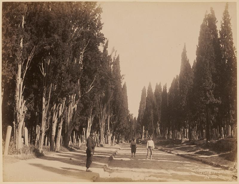 Cimetière Turc de Scutari