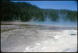 Grand Prismatic Spring, sign, and forest, Yellowstone National Park, Wyoming