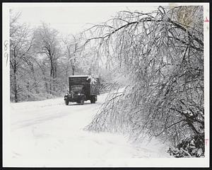 Wampatuck Road in Quincy is a picture of white-washed serenity as ice-heavy branches bend to meet the snow-packed roadway. Driving was rough, to put it mildly.